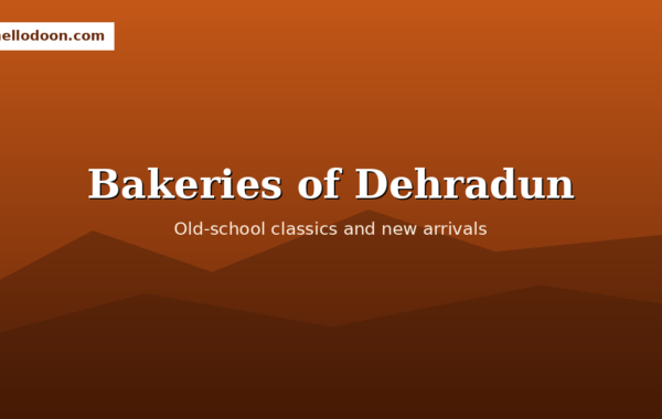 Bakeries of Dehradun assortment of breads pastries cakes display