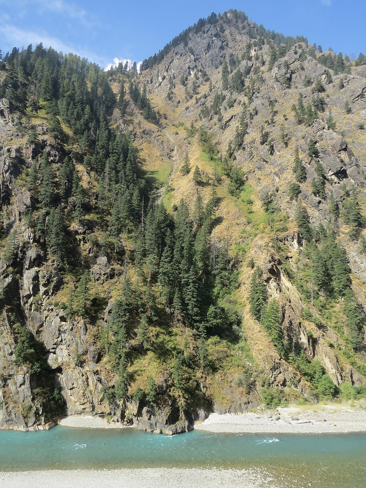 Deodar forest near Chakrata Dehradun travel guide