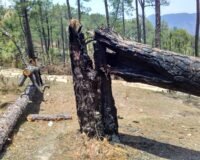 Uttarakhand Forest Fires in 2026 Are 80% More Frequent Than the Last Decade