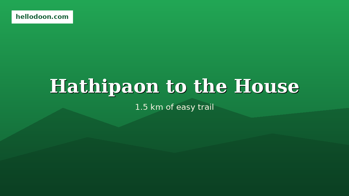 Trail from Hathipaon to George Everest's House through pine forest