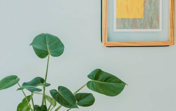 Tibetan carpet weaving craft textile artisan Clement Town Dehradun