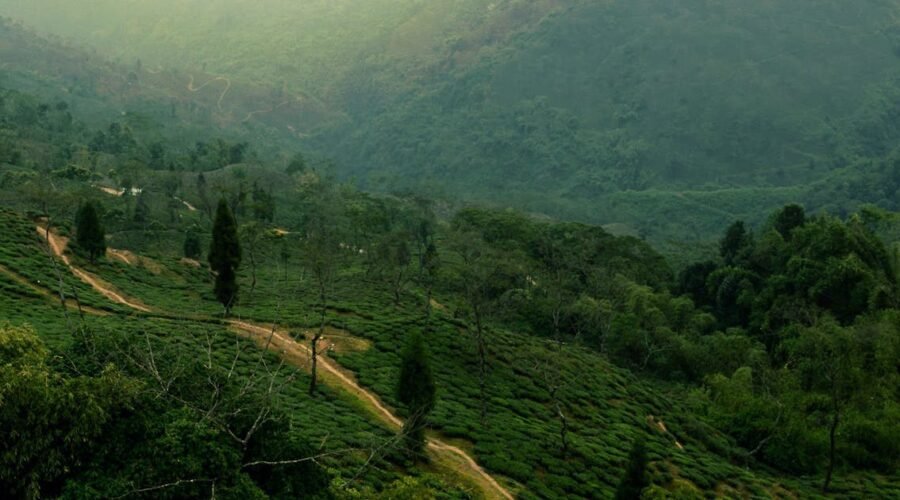 Summer in Dehradun 2026: Best Places to Go and What to Expect