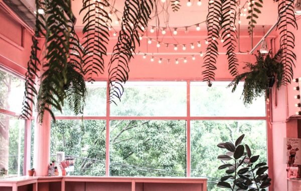 Interior of a cafe coffee shop Dehradun cozy ambiance