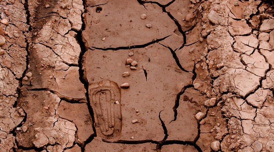 Dehradun Heatwave 2026: Temperatures Cross 38°C in April, What You Should Know