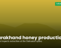 CM Dhami Reviews Honey Production at Dehradun Residence as Uttarakhand Pushes Apiculture Mission