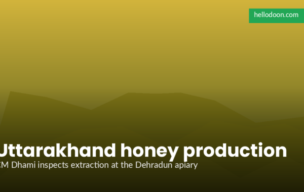 Uttarakhand honey production beehives at the CM residence apiary in Dehradun with farmer trainees observing