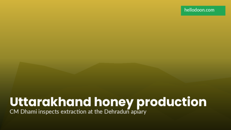CM Dhami Reviews Honey Production at Dehradun Residence as Uttarakhand Pushes Apiculture Mission