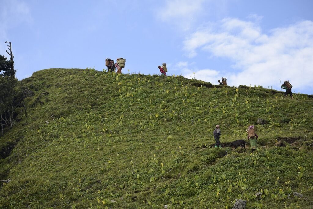 The Best Treks Near Dehradun for Beginners
