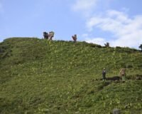 The Best Treks Near Dehradun for Beginners