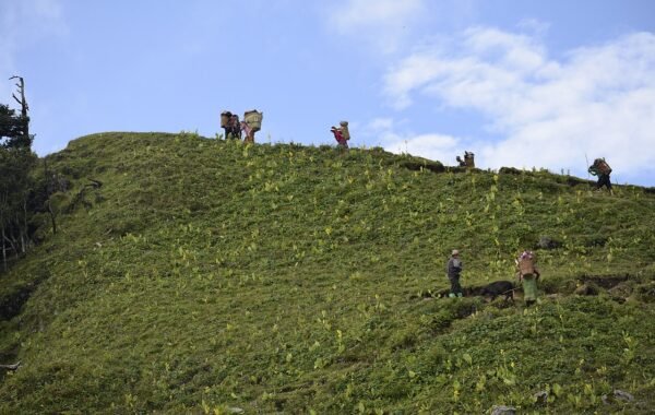 Trekking Himalayan mountain trail Uttarakhand beginner hikers