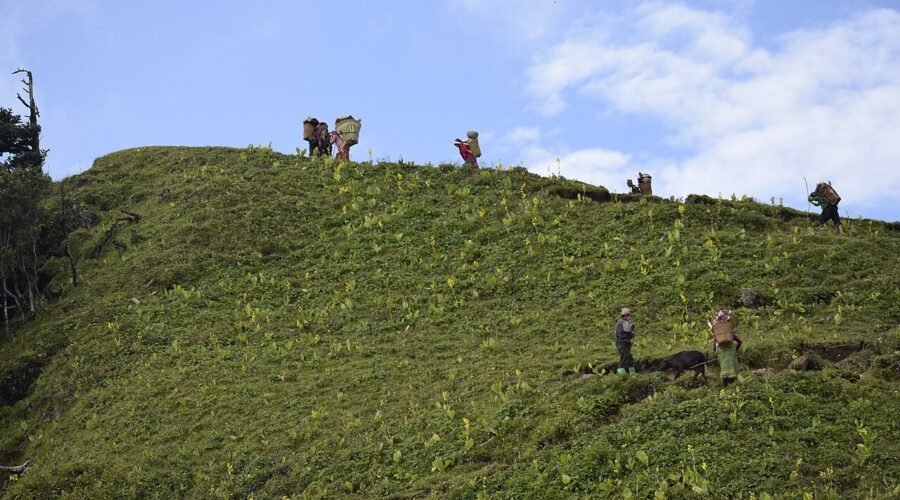 The Best Treks Near Dehradun for Beginners